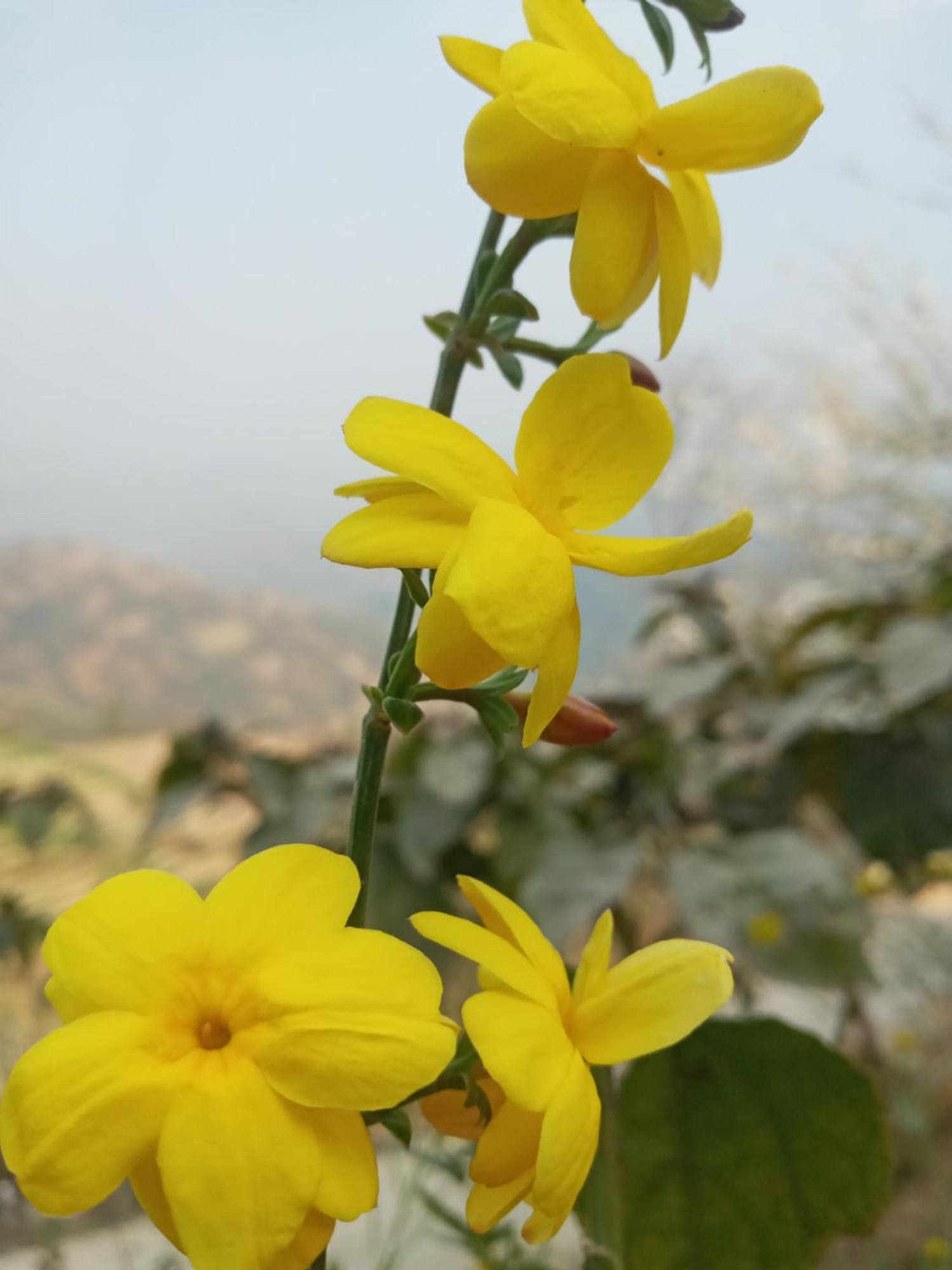 Unique Point Home Stay Nagarkot Exterior photo